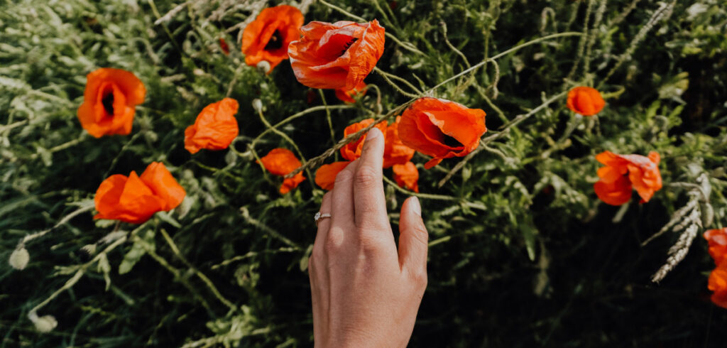 Aria di Primavera: nuovi arrivi su MiRaggi.com Nuovi arrivi su MiRaggi